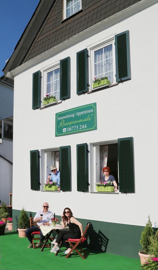 Rheinpromenade Apartment